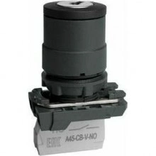 Переключатель OptiSignal D22 C5-SK-21 с ключем 2 поз пластик 1НО XB5AG21