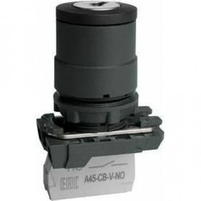 Переключатель OptiSignal D22 C5-SK-21 с ключем 2 поз пластик 1НО XB5AG21 Переключатель OptiSignal D22 C5-SK-21 с ключем 2 поз пластик 1НО XB5AG21